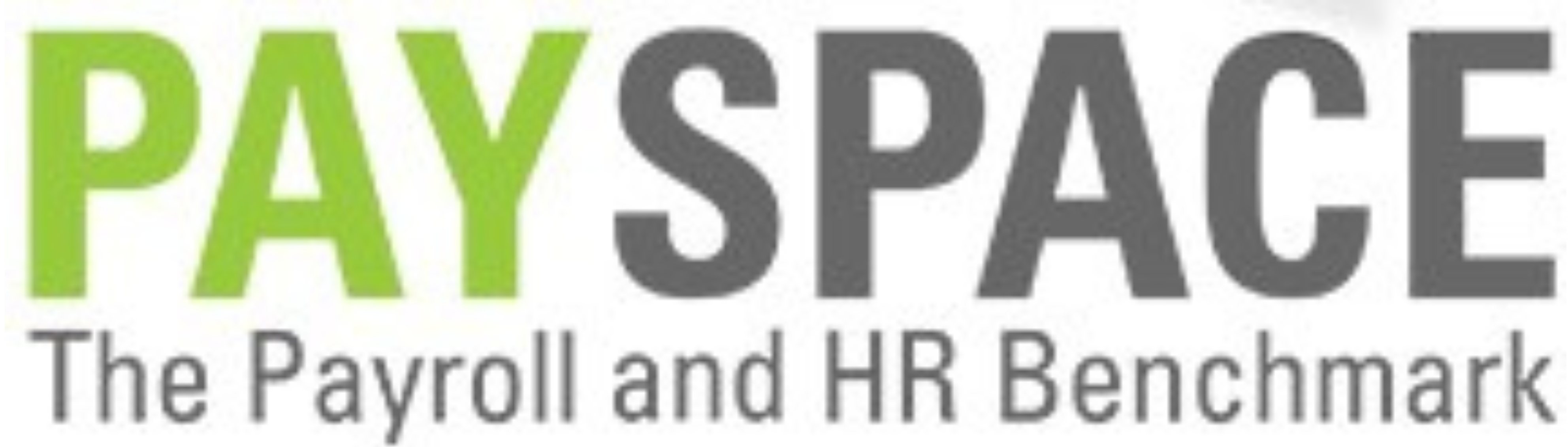PaySpace-large